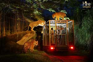 hire-bali-tour-driver-putu-sumedana-bali-marine-safari-park-night-safari-bali