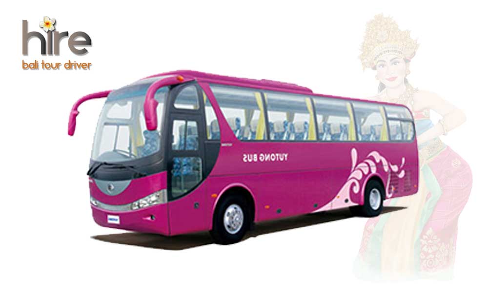 Bus 45 Seats